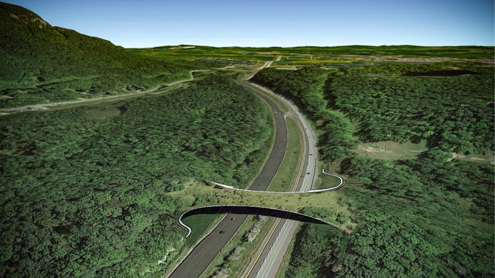 Wildlife crossing	