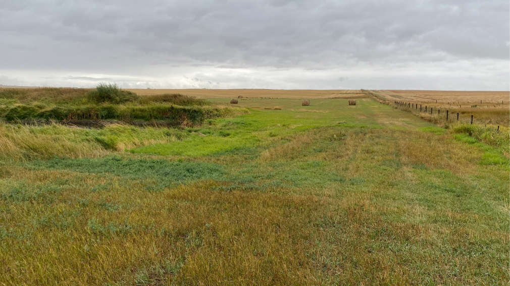 Field