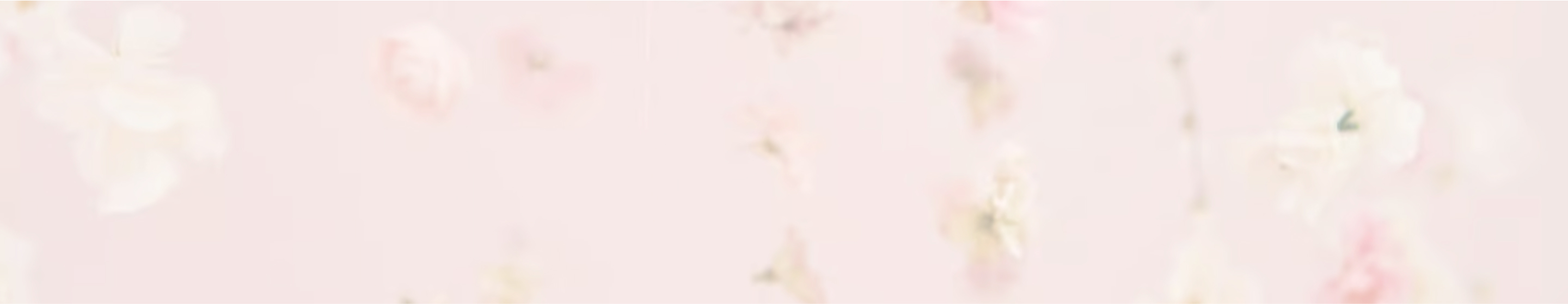 FOOTER-BG-DSKT.jpg